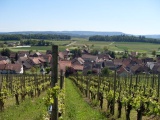 Ob der Steig