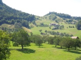 Birchhöchi