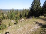 Col du Marchairuz