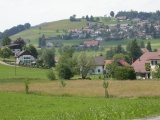 Hirzel