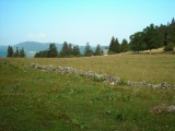 Chuffort