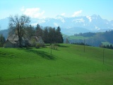 Wissegg