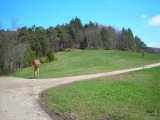 Nunningenberg (Hüttenhöchi)
