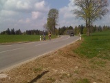 Le Basset
