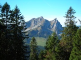 Schindleneggen