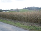 Mänziwilegg