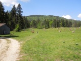 Col du Mollendruz
