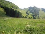Mieschegg