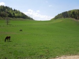 Steinegg