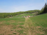 Steinegg