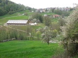 Steinenbühlhöhe