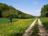 Hermsten