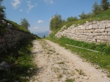 Forcella Molon