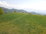 Scheidegg