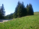 Müligassegg
