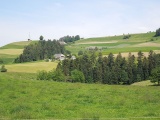 Höchi