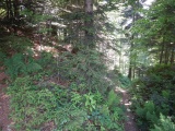 Heiterloch