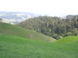 Eggelriedegg