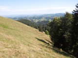 Ober Scheidegg