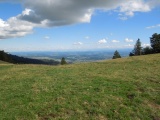 Niederwiler Stierenberg