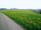 Hinderboden
