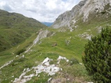 Passo di Val Trela