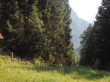 Sella