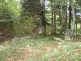 Burggrabeni