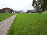Büel