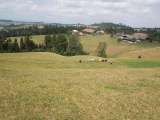 Ober Steg