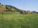 Mittlere Bühl